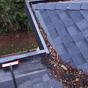 Gutter Cleaning Services