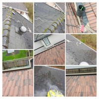 Roof Cleaning and Moss Removal Services