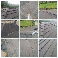 Moss Removal Services