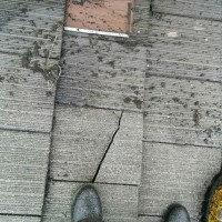 Moss Removal Services